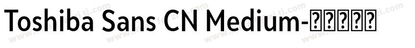 Toshiba Sans CN Medium字体转换